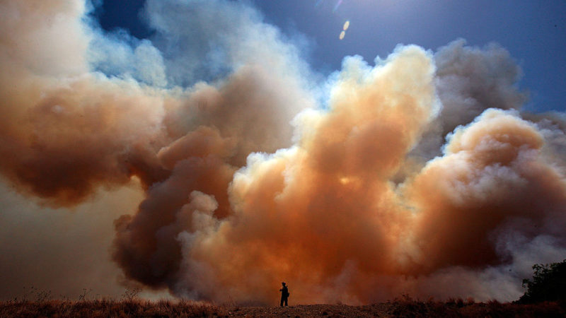 a firefighter stands in the distance of a field against a large plume of smoke in the sky