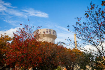 fall foliage on campus with water tower in background that says "welcome to aggieland"