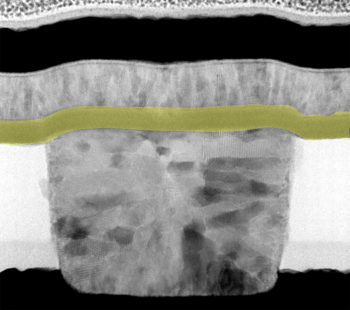 electron micograph image