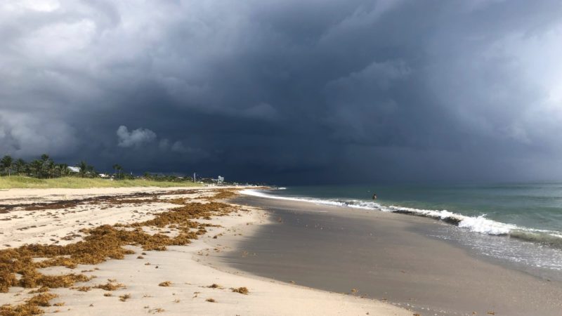 Storm rolling onto the beach with dark clouds and destruction