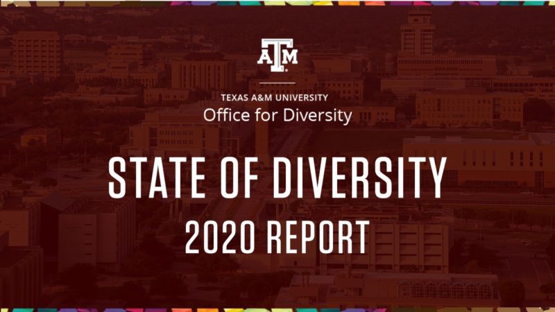 graphic reading state of diversity 2020 report