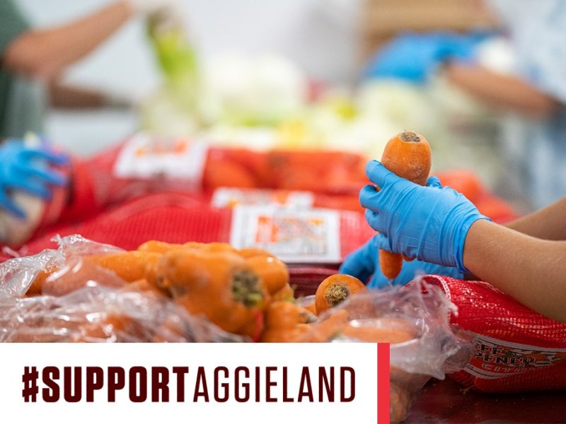 close up image of carrots with support aggieland graphic overlay