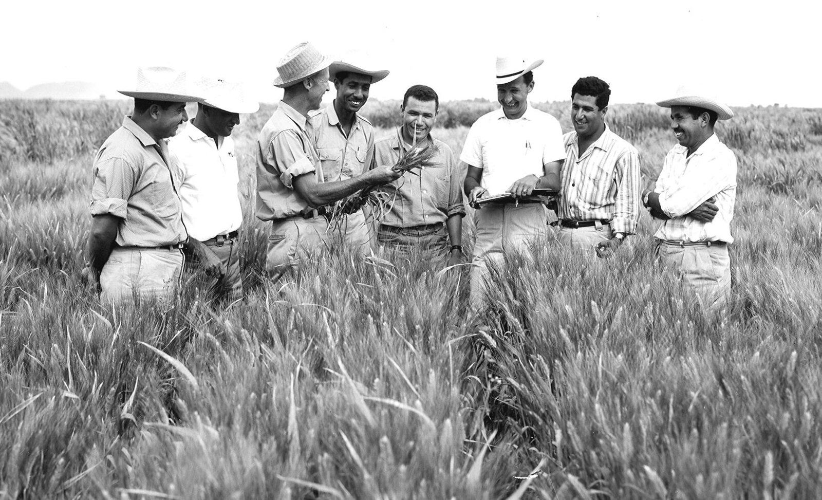 Norman Borlaug in the field teaching a group of young trainees.