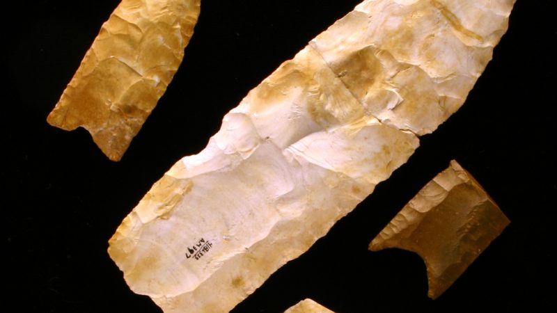 Clovis spear points from the Gault site, Texas[26682]
