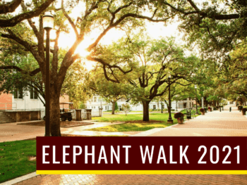 a graphic showing military walk with the words Elephant Walk 2021