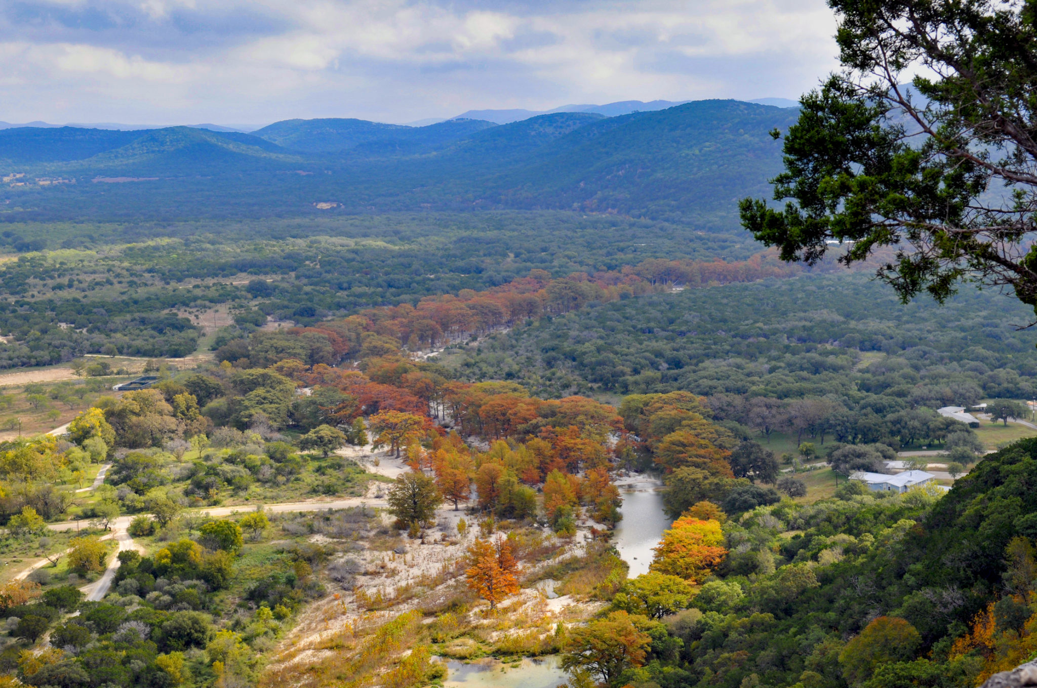 Why Do Trees Change Color? - Texas A&M Today