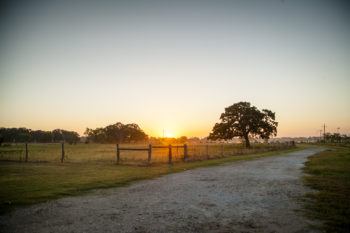 rural texas road at sunrise