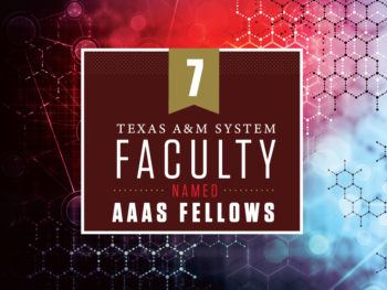 graphic reading "texas a&M system faculty named AAAS fellows"
