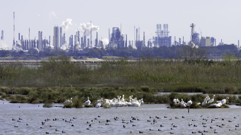 view of petrochemical plant in front of body of water with birds