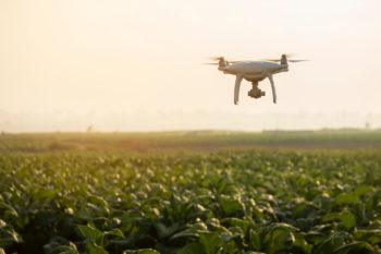drone flyover over field of crops at sunset