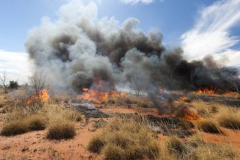 Firestick burning in outback Central Australia