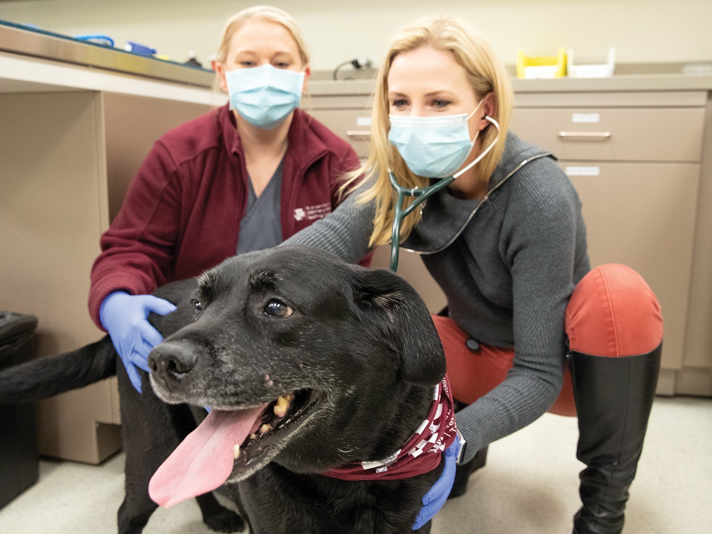 Texas A&M Veterinary Teaching Hospital Helps Veteran’s Dog