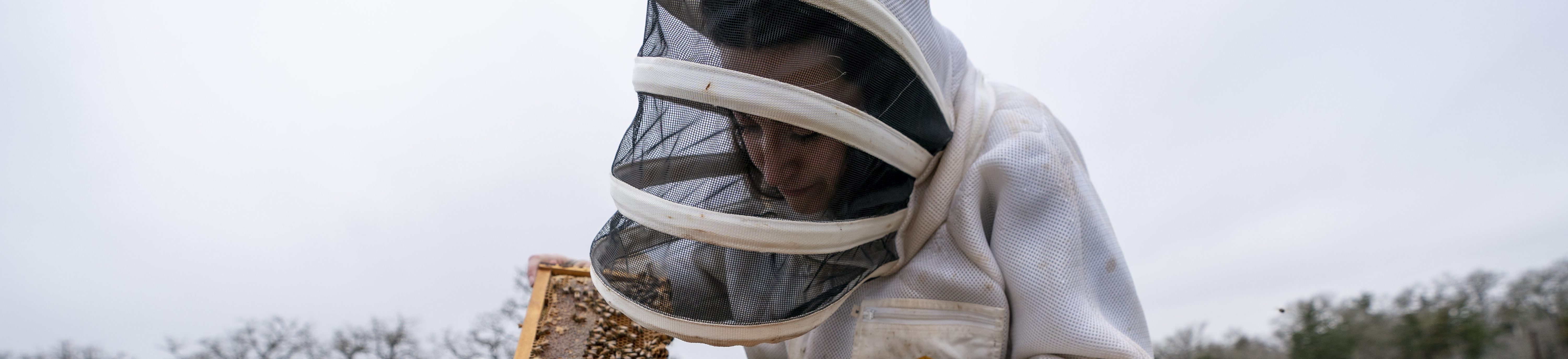 a woman wearing beekeeping protective gear tending to honeybees