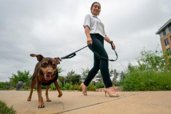 stephanie young walks her dog o na leash outside