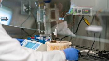 close up of a researcher working in a lab