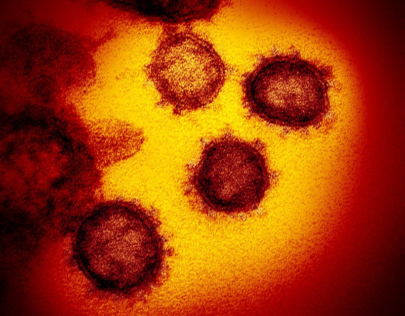 Virus delta variant