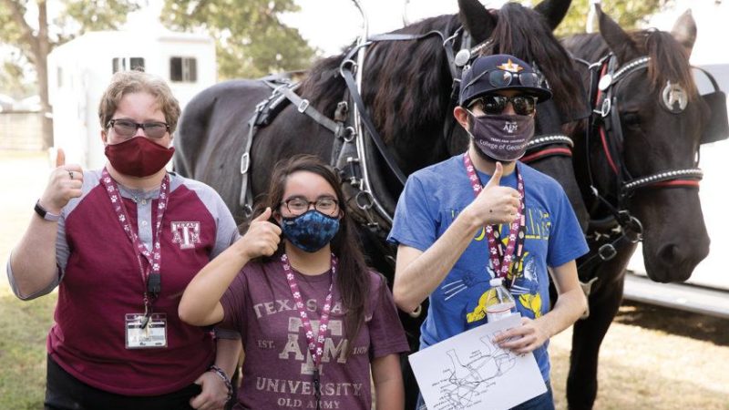 three aggie achieve students standing next to two black horses