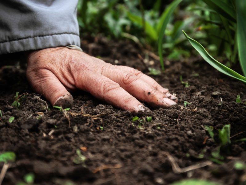 close up of a a woman's hand on soil