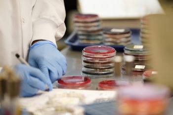 close up of a researcher handling stacks of petri dishes in a lab