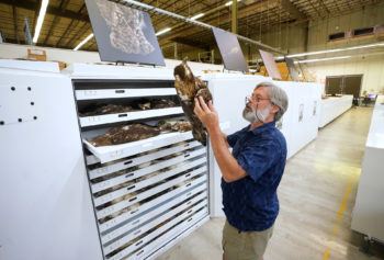 a man holds an eagle specimen in a warehouse