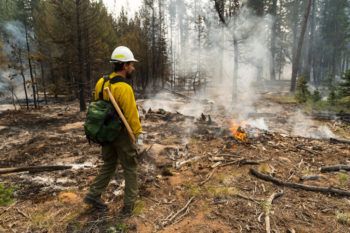 a man in fire protective gear stands in a forest next to fire