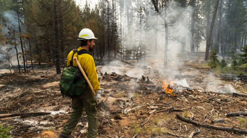 a man in fire protective gear stands in a forest next to fire