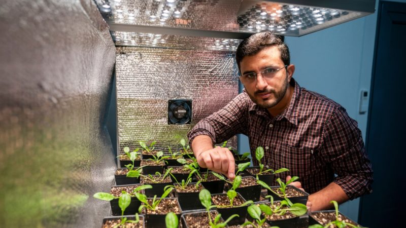 portrait of male researcher in a greenhouse standing near a table filled with potted plants