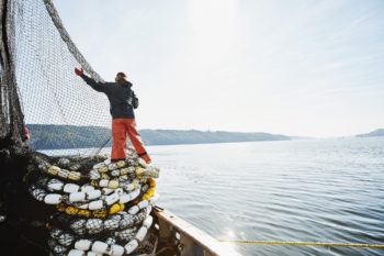 Female crew member of fishing boat stacking net on deck while fishing for salmon