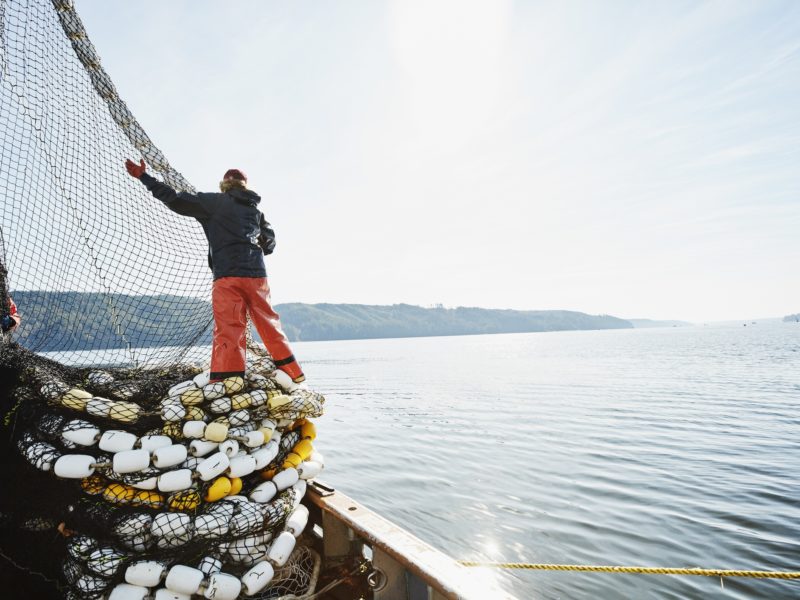 Female crew member of fishing boat stacking net on deck while fishing for salmon