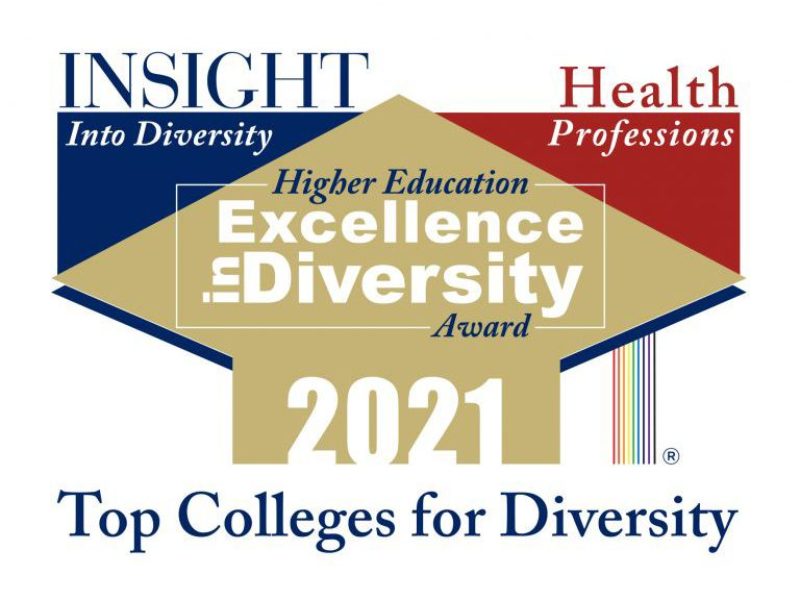 graphic that says excellence in diversity 2021