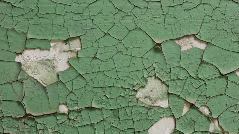Green paint peeling off the wall.