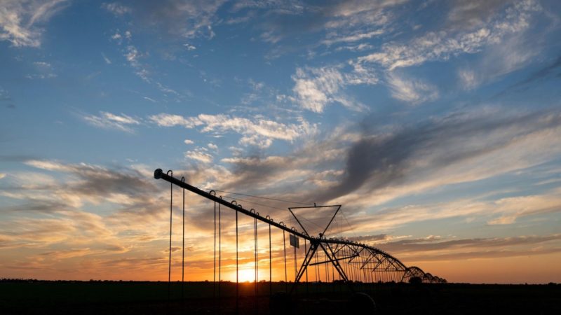 irrigation pivot in a field backlit by a sunset