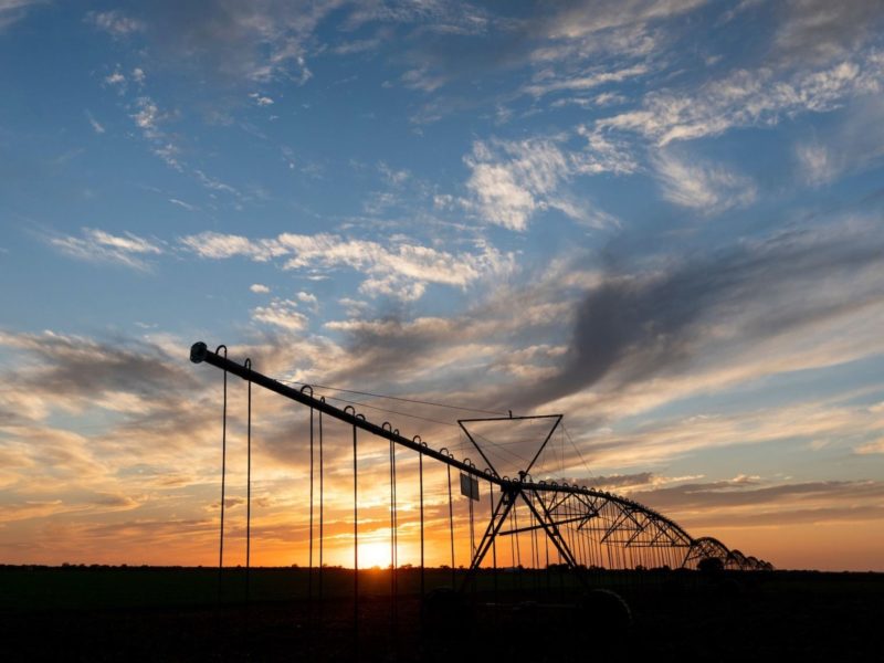irrigation pivot in a field backlit by a sunset