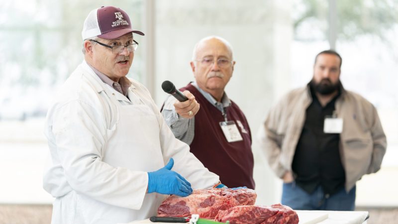 a man wearing a white coat and gloves gives a demonstration using a cut of beef sitting on a table before him