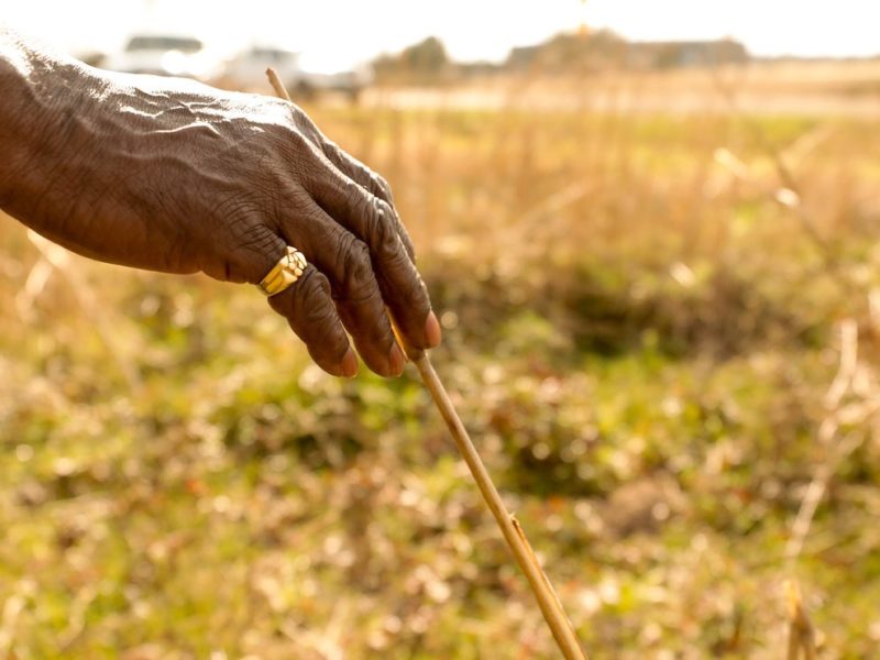 man's hand touching grass in a field