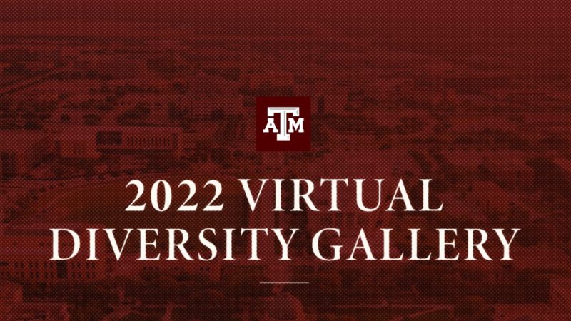 2022 Virtual Diversity Gallery