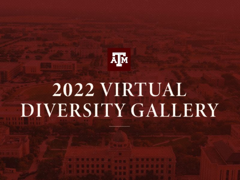 2022 Virtual Diversity Gallery