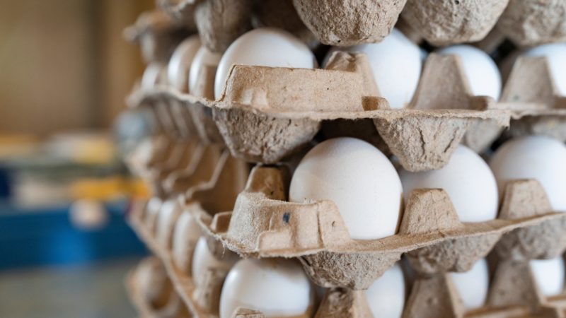 stacked trays of white eggs