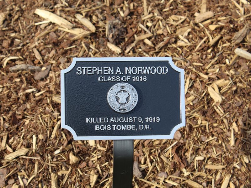 A plaque reading Stephen A. Norwood, Class of 1916, Killed August 9, 1919, Bois Tombe, D.R.