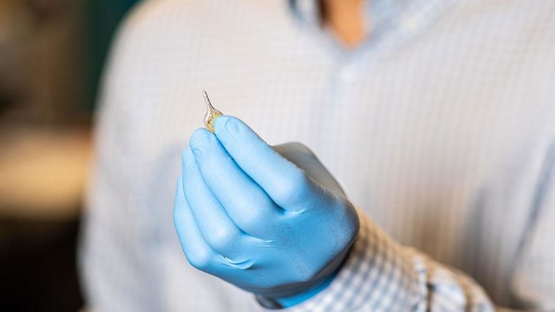 a photo of a gloved hand holding a small teardrop-shaped metallic device