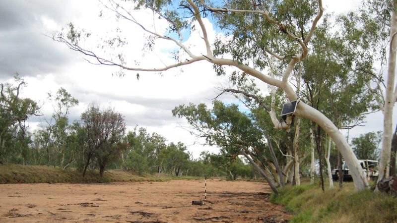 A stream gauge on the Woodforde River, a non-perennial stream in the Ti Tree Basin north of Alice Springs in Australia.