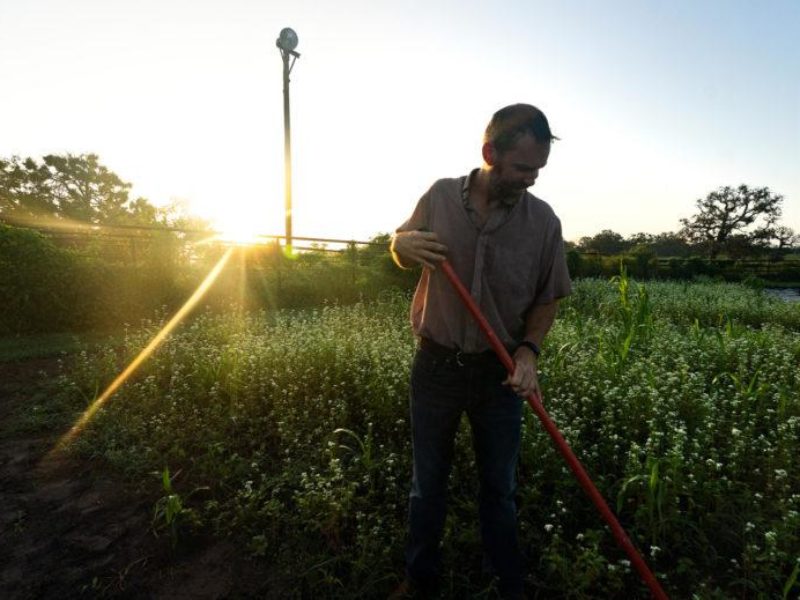 a man working in a field with the setting sun behind him