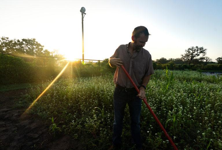 a man working in a field with the setting sun behind him