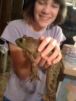 little girl holding a bullfrog in her hands