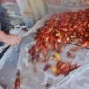a photo of a bunch of crawfish being poured into a cooler by a man with a paddle