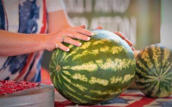 a woman's hands hold a watermelon on a table top