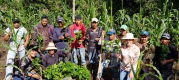a group of people holding coffee plants pose in a field