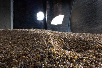 a photo of a pile of corn laying on the floor of a partially destroyed warehouse. above the pile, sunlight pours in through two large holes in the brick wall.
