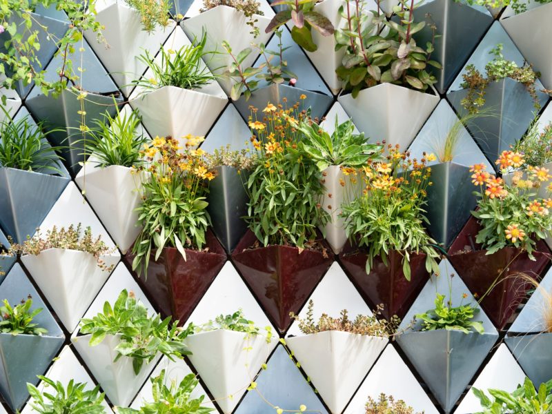 a photo of the living wall at langford, showing the metal diamond-shaped planters housing various types of plants