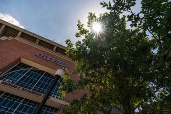 The sun shines through a tree in front of Kyle Field